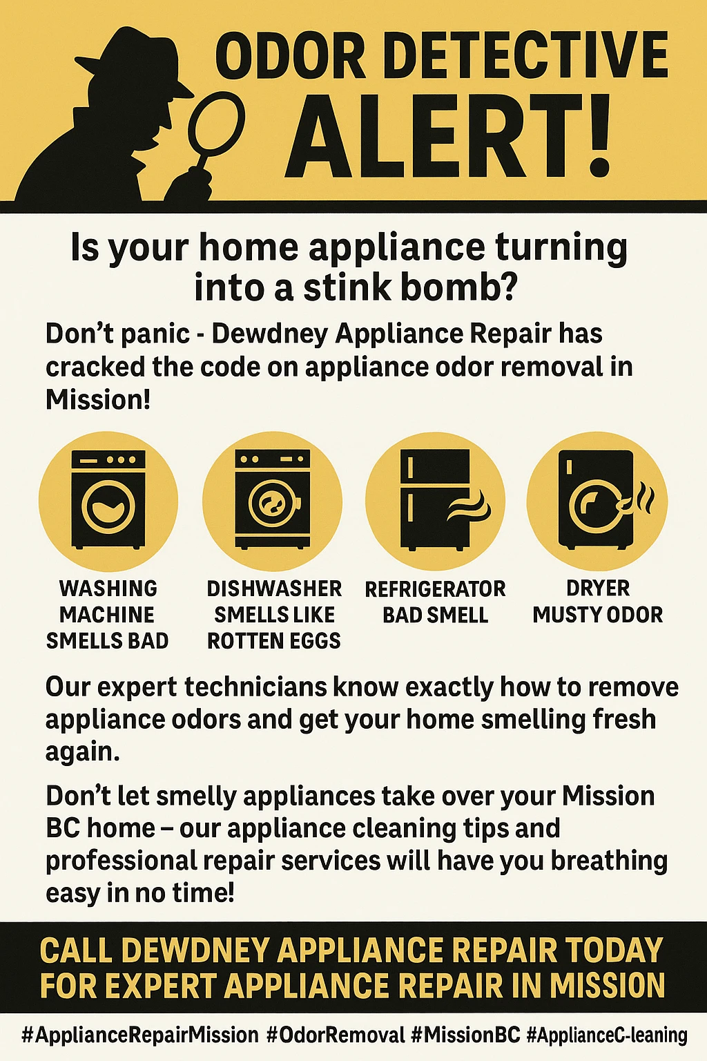 Appliance Odor Removal Mission Key Takeaways Infographic